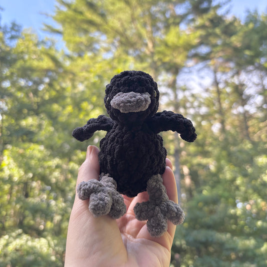 Baby Corvus (Crow) Crochet Plush
